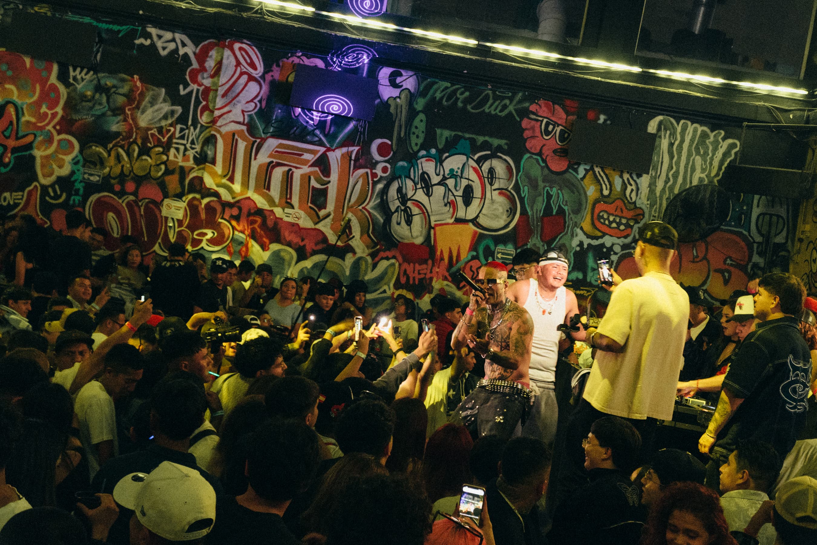 Mr. Duck · CDMX · 6
